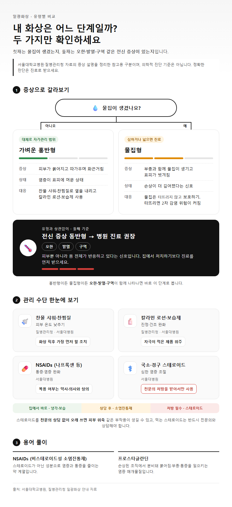 옵션·유형별 비교