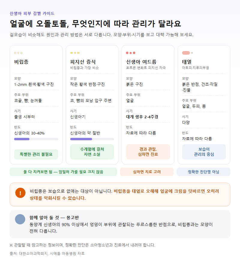 3. 신생아 얼굴 오돌토돌, 비립종·여드름·태열 구별법