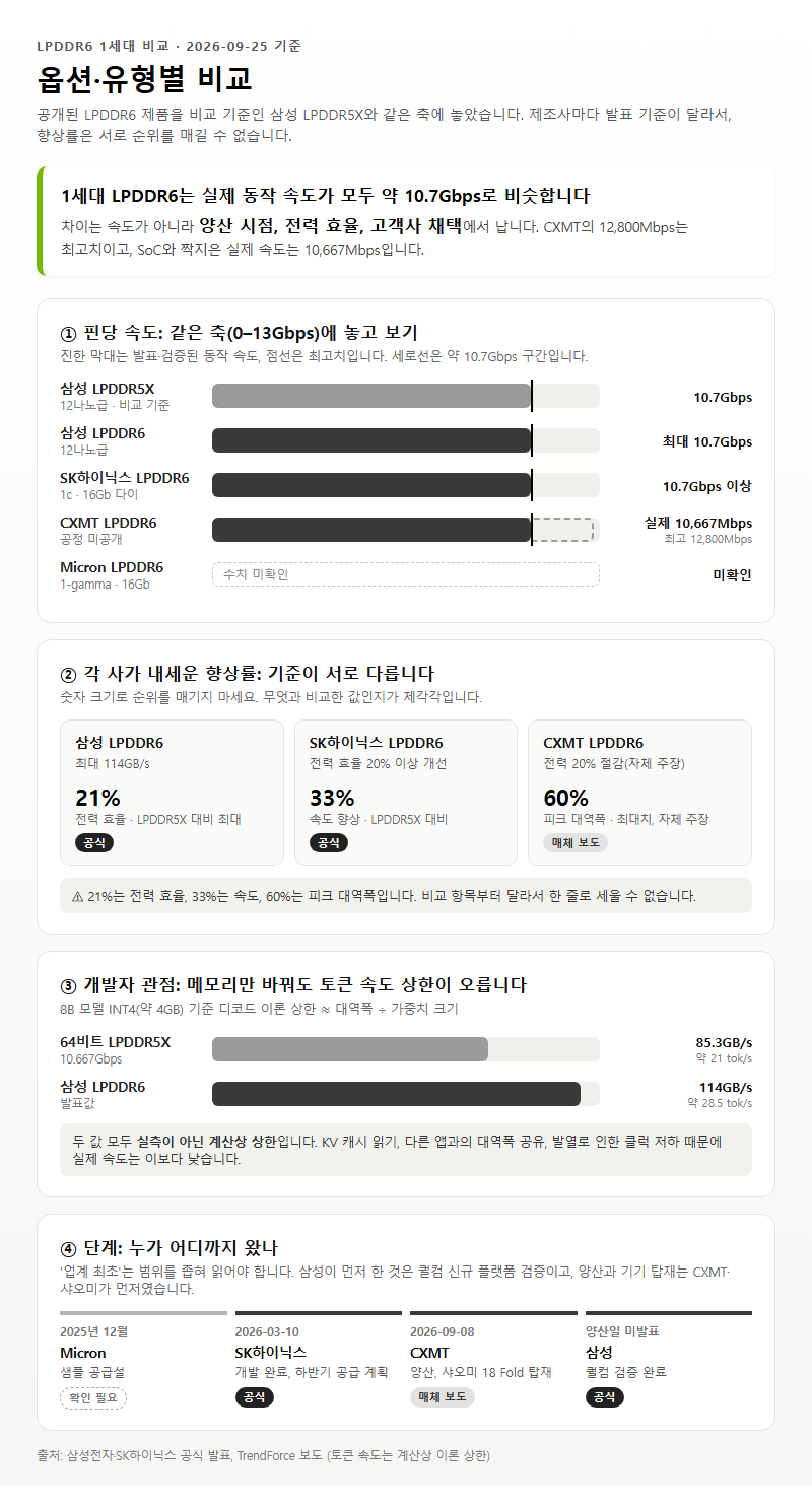 옵션·유형별 비교
