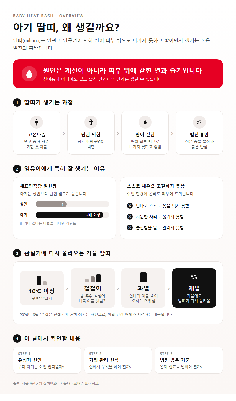 아기땀띠 개요