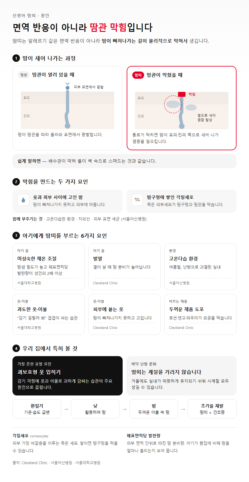 2. 신생아 땀띠 원인은 면역 반응이 아니라 '배수관 막힘'