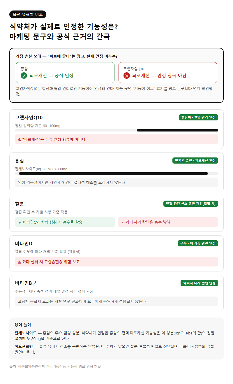 옵션·유형별 비교