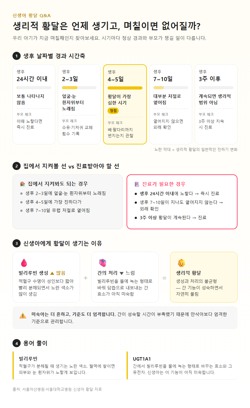 Q1. 신생아 황달은 보통 언제 생기고 며칠이면 없어지나요?