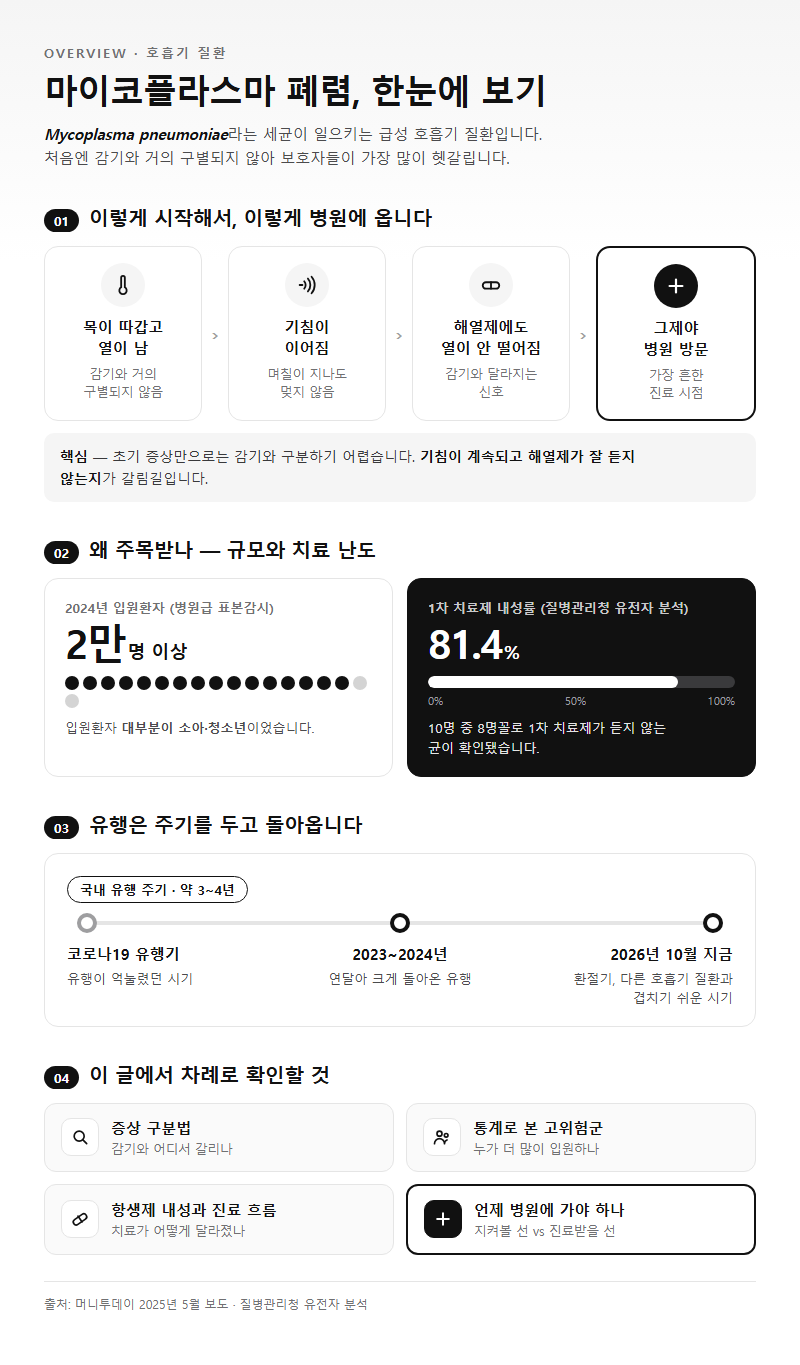 마이코플라스마폐렴 개요