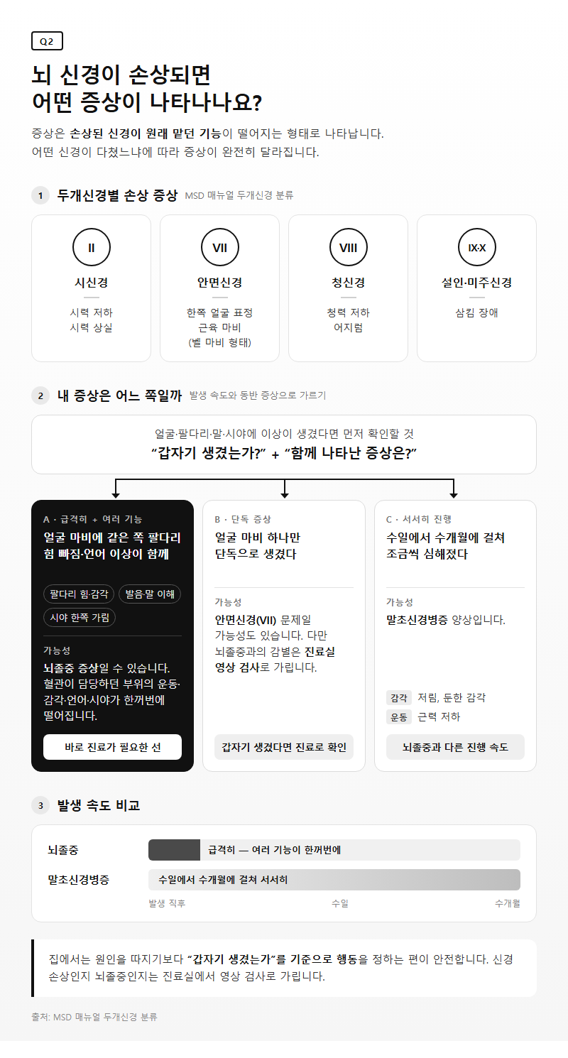 Q2. 뇌 신경이 손상되면 어떤 증상이 나타나나요?