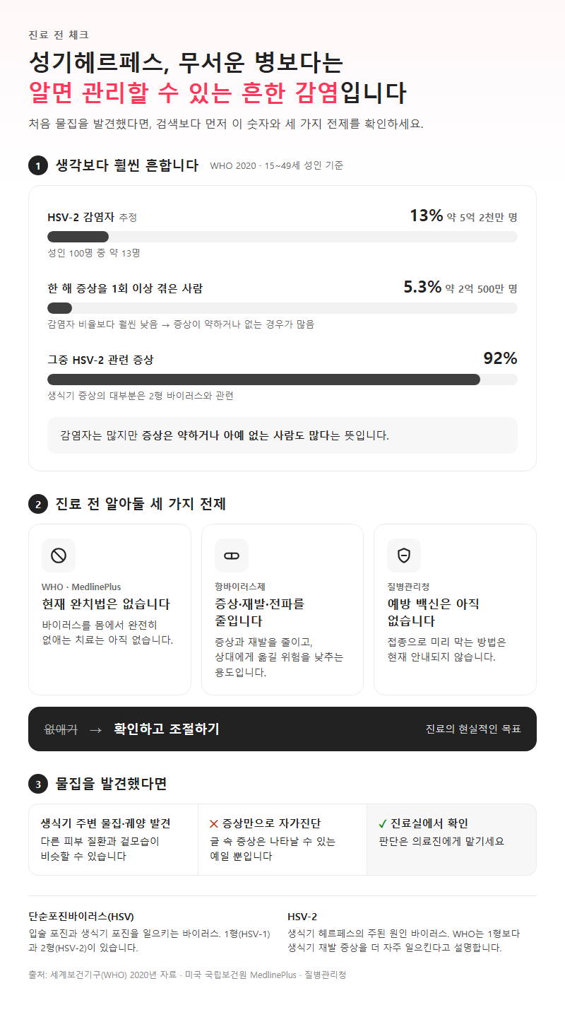 성기헤르페스 시작 전 확인할 것