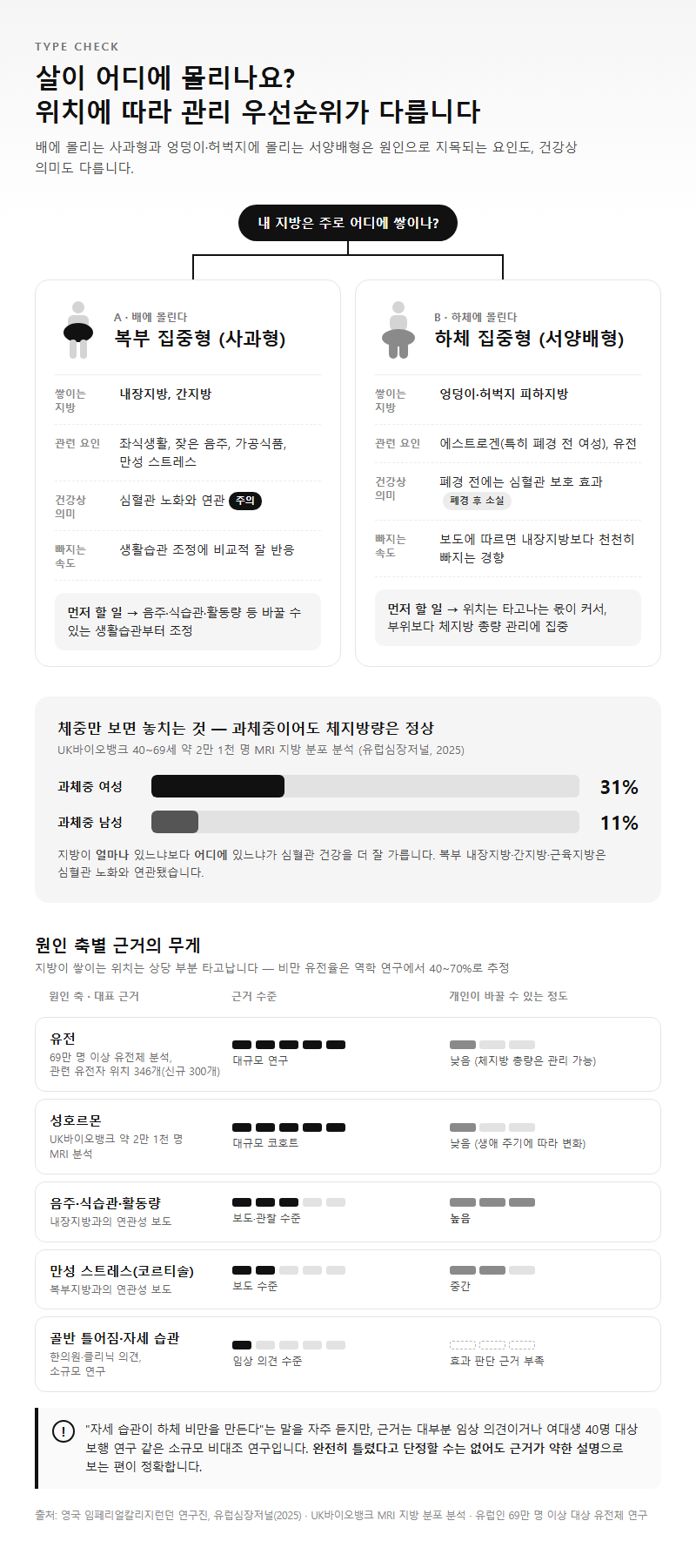 옵션·유형별 비교