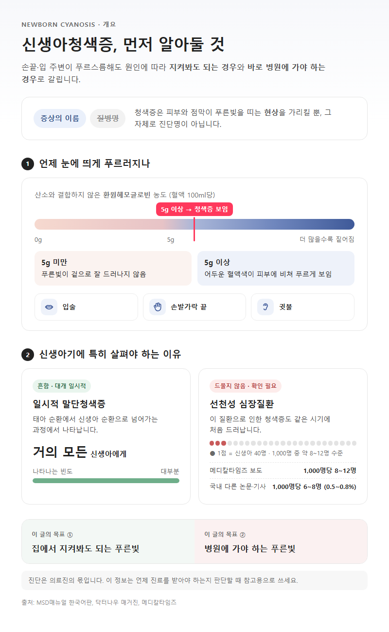 신생아청색증 개요
