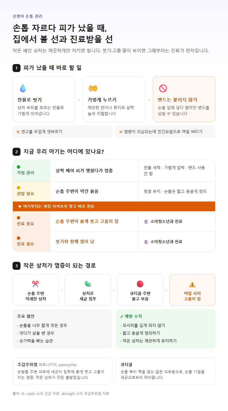 4. 신생아 손톱 자르다 피가 났을 때와 손톱 염증 판단법