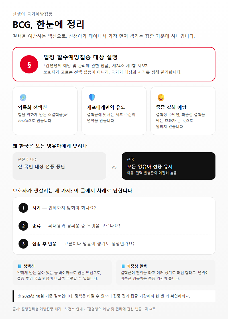 신생아BCG 개요