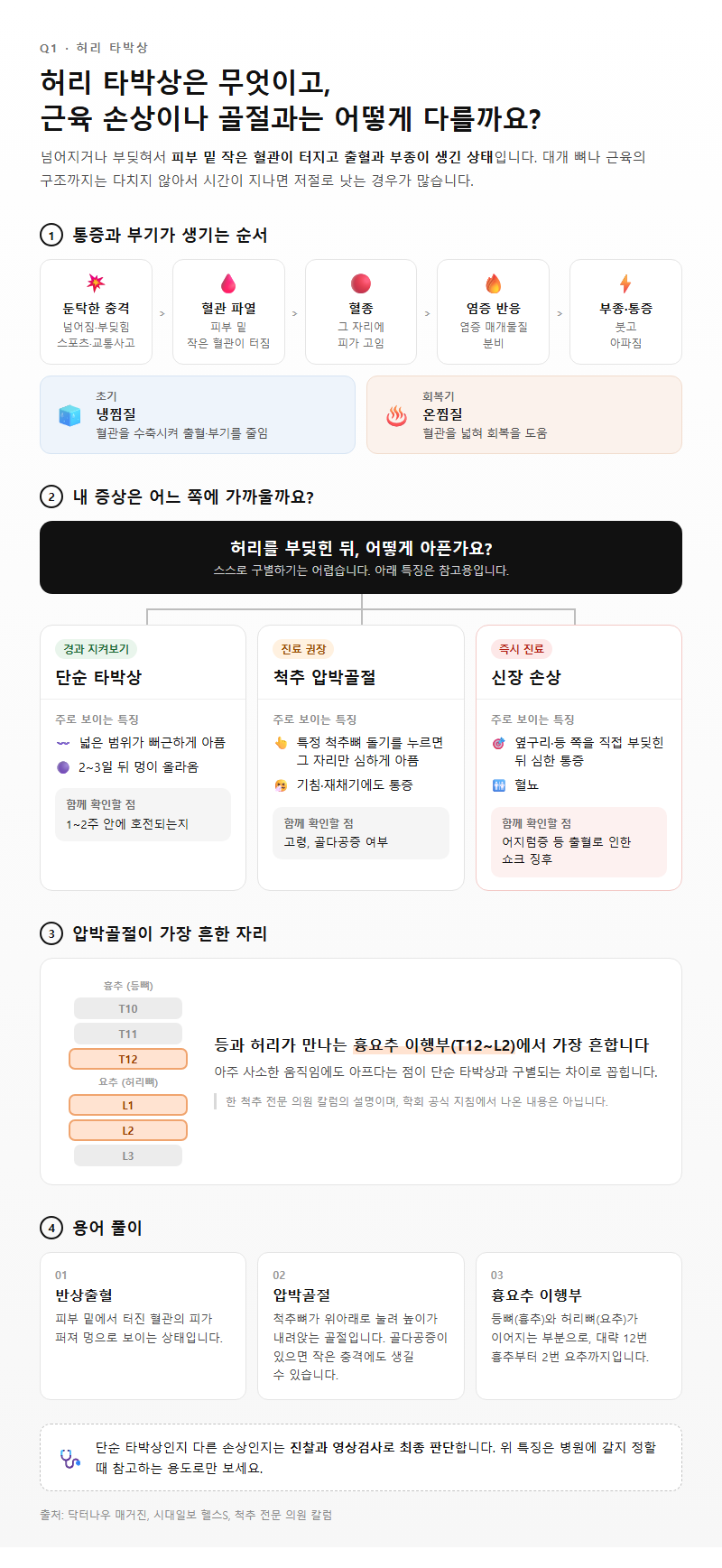 Q1. 허리 타박상 뜻은 무엇이고, 근육 손상이나 골절과는 어떻게 다른가요?
