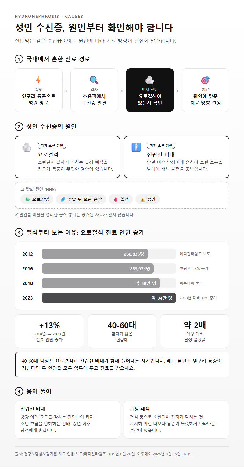 2. 성인 수신증의 흔한 원인과 요로결석 증가 추세
