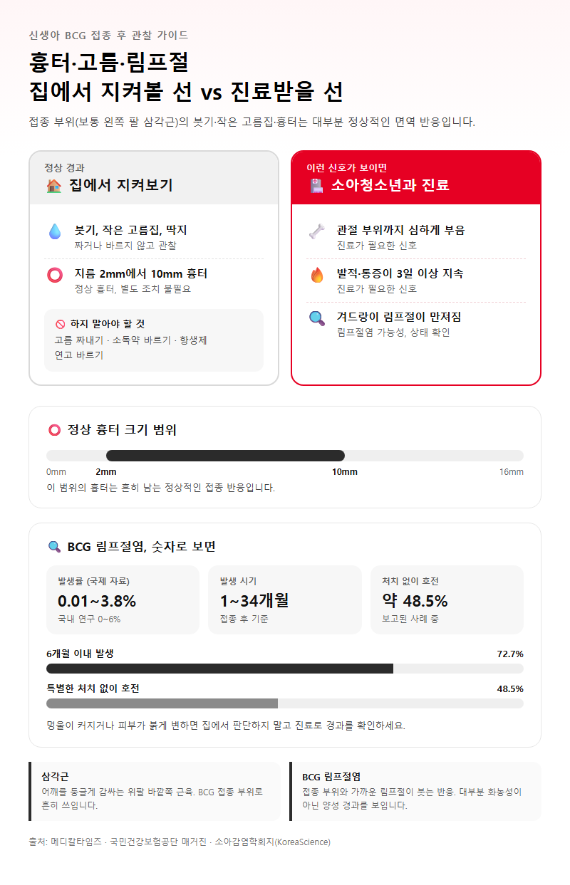 4. 신생아 BCG 접종 후 흉터·고름·림프절, 정상과 진료 신호 구분