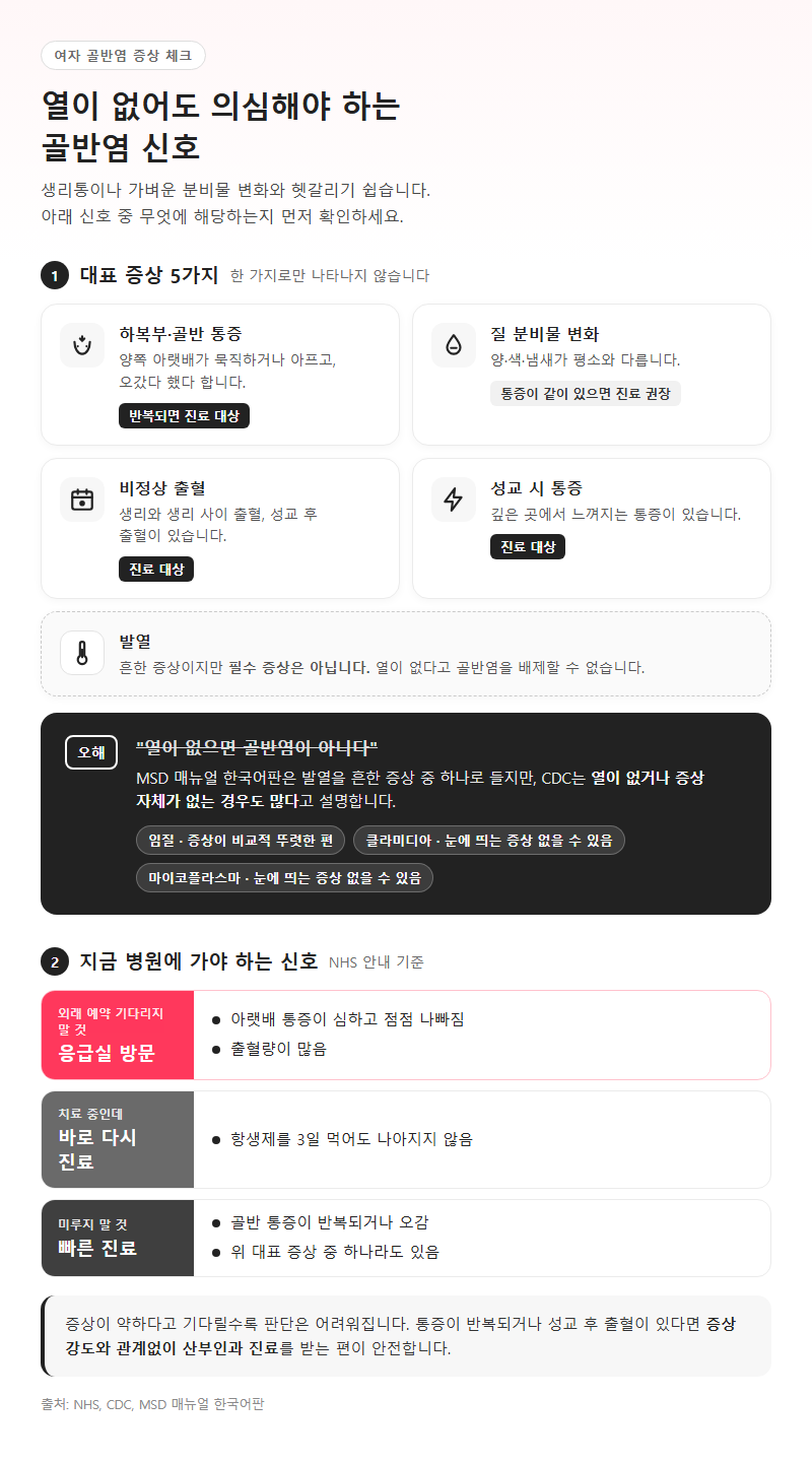 1. 여자 골반염 증상, 열이 없어도 의심해야 하는 신호