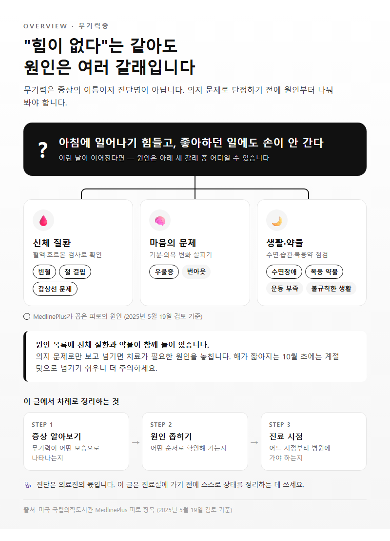무기력증 개요