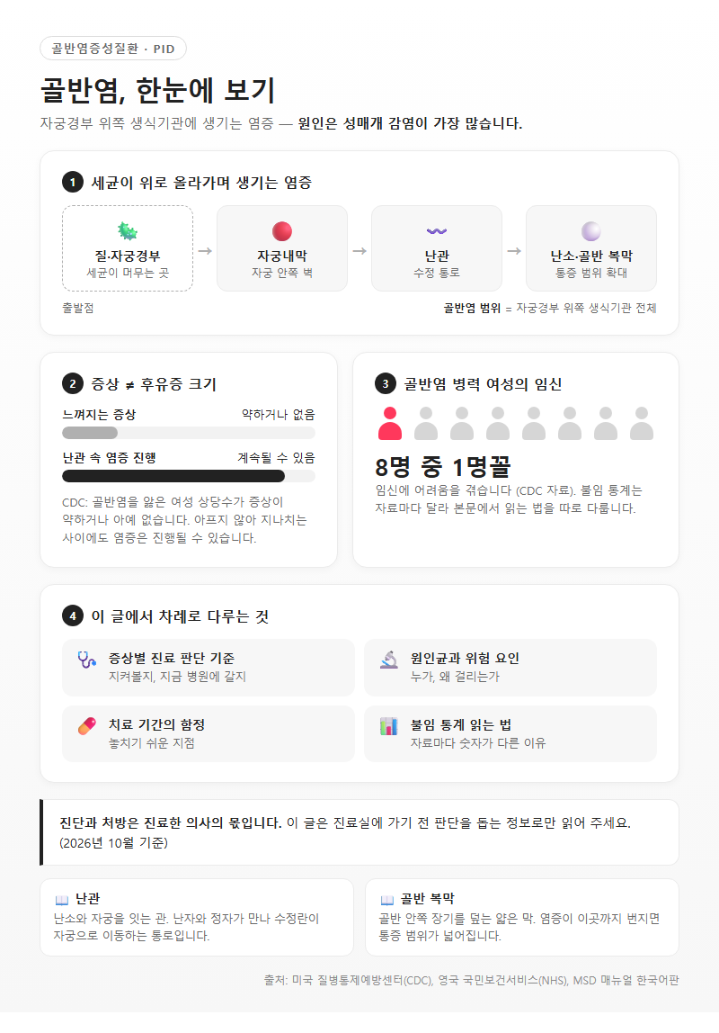 골반염 개요