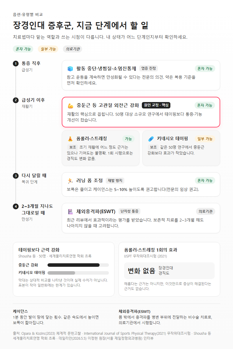 옵션·유형별 비교