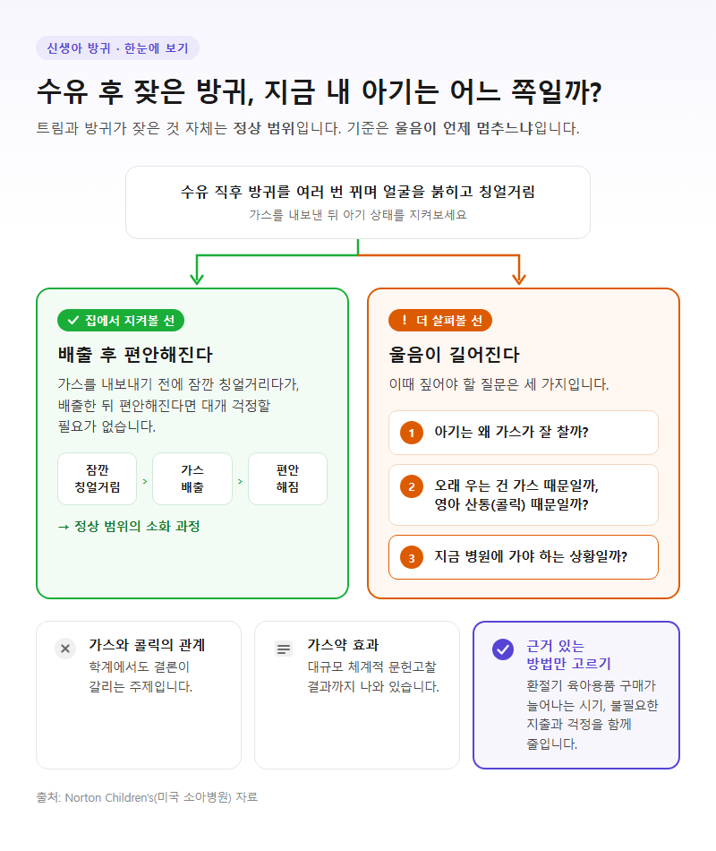 신생아방귀 개요