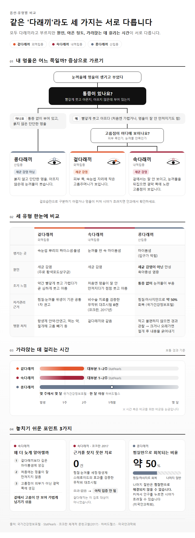 옵션·유형별 비교