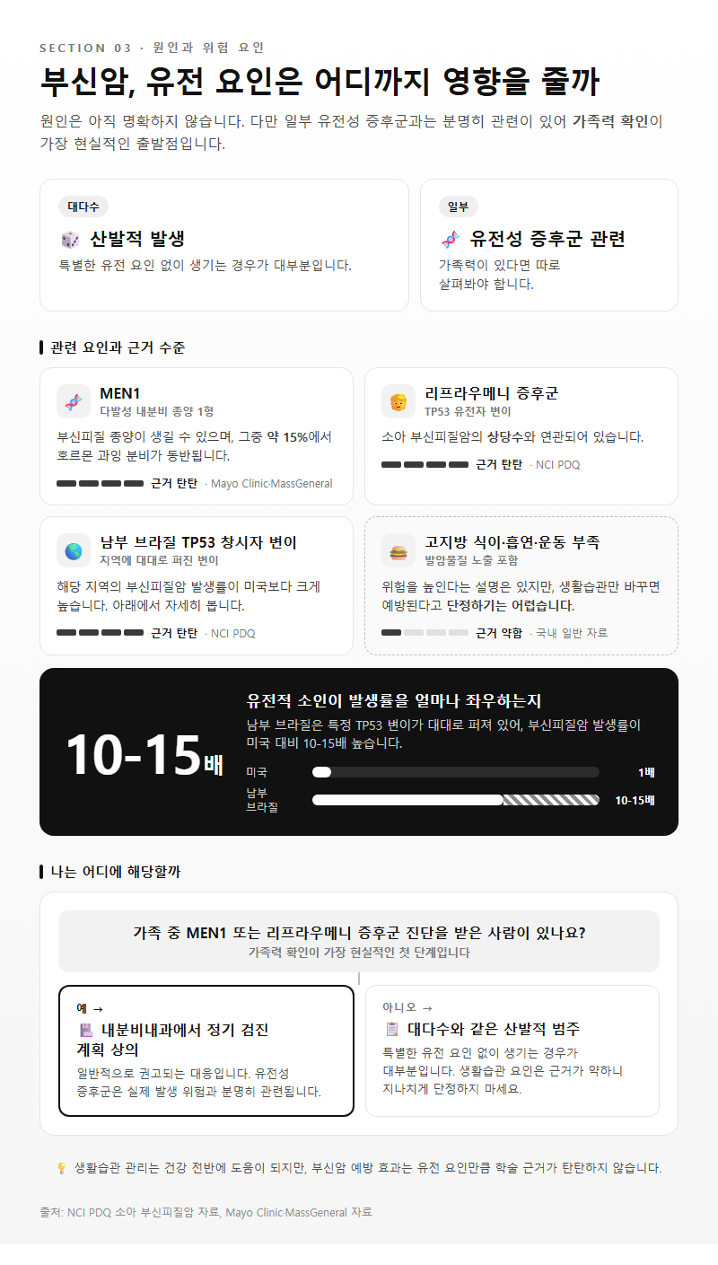 3. 부신암 원인과 유전적 위험 요인