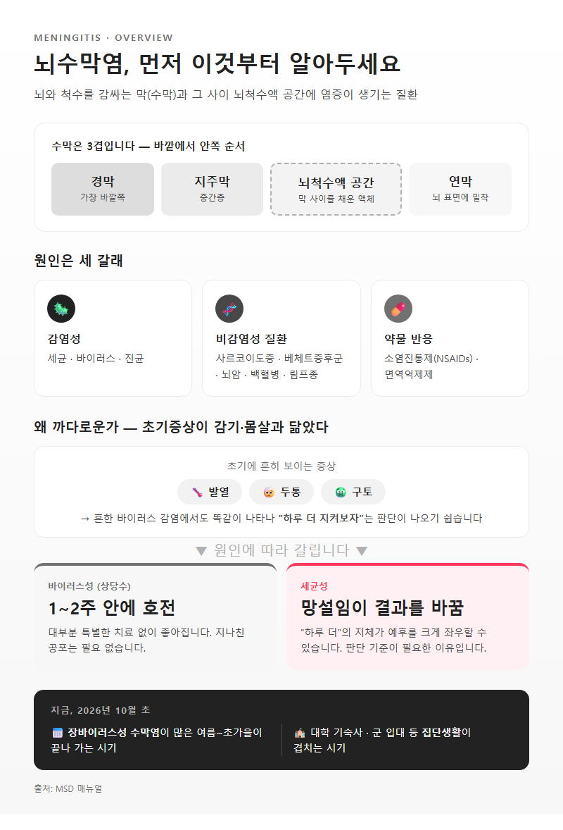 뇌수막염 개요