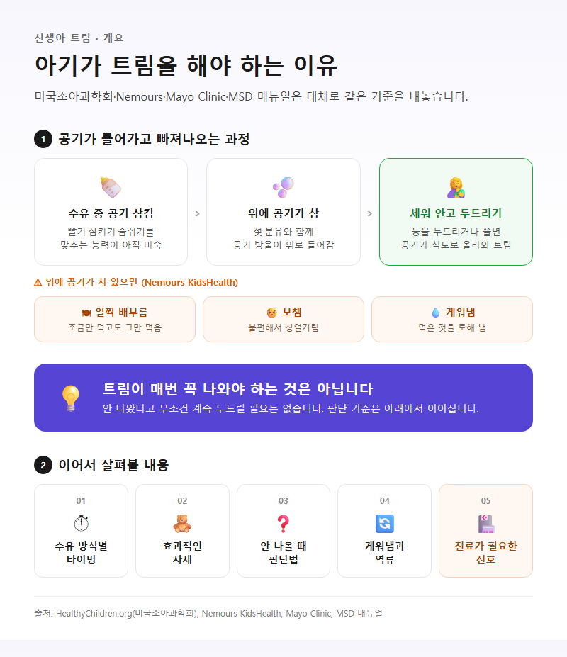 신생아트림 개요