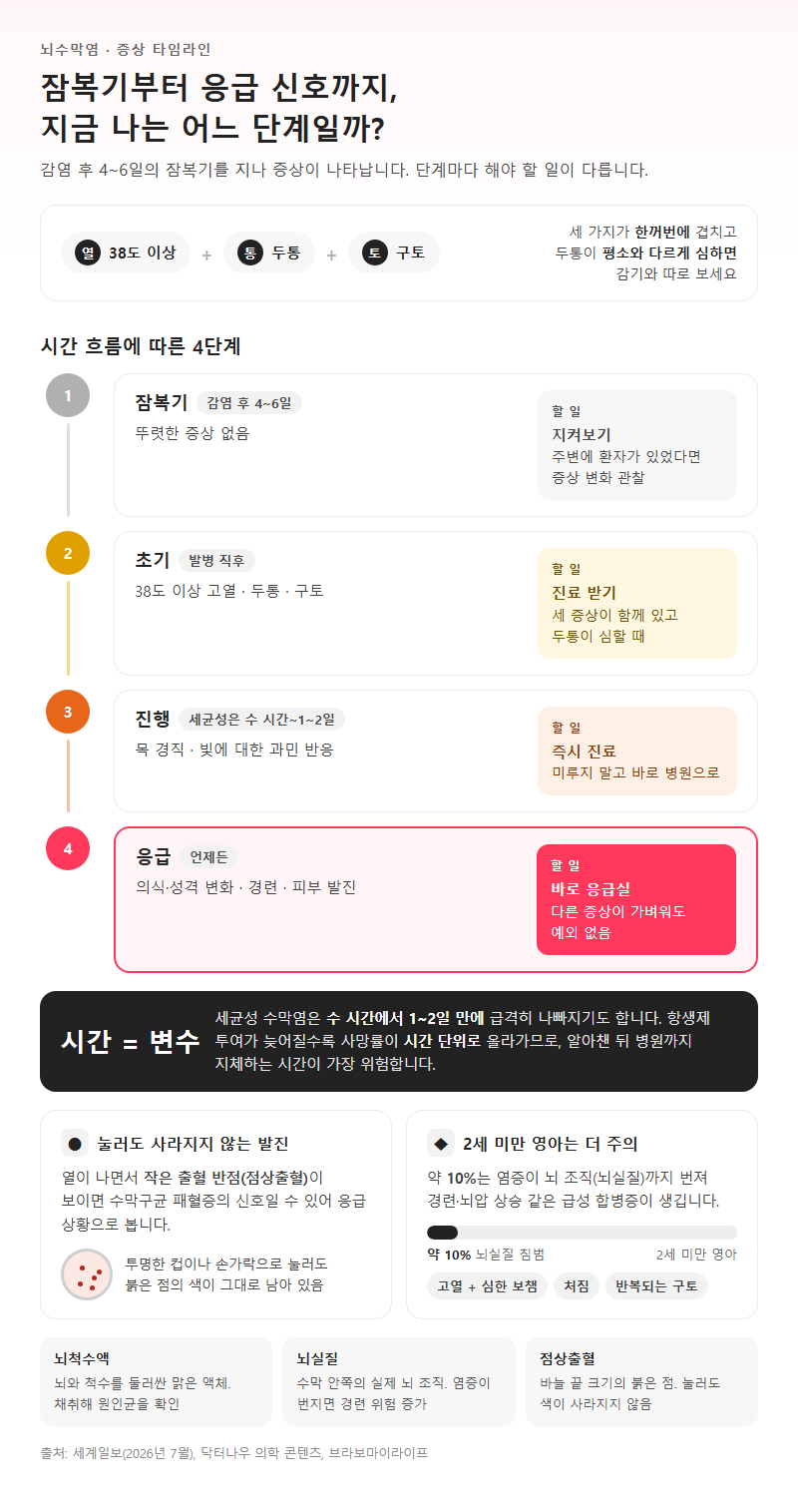 1. 잠복기부터 응급 신호까지, 증상의 시간 흐름