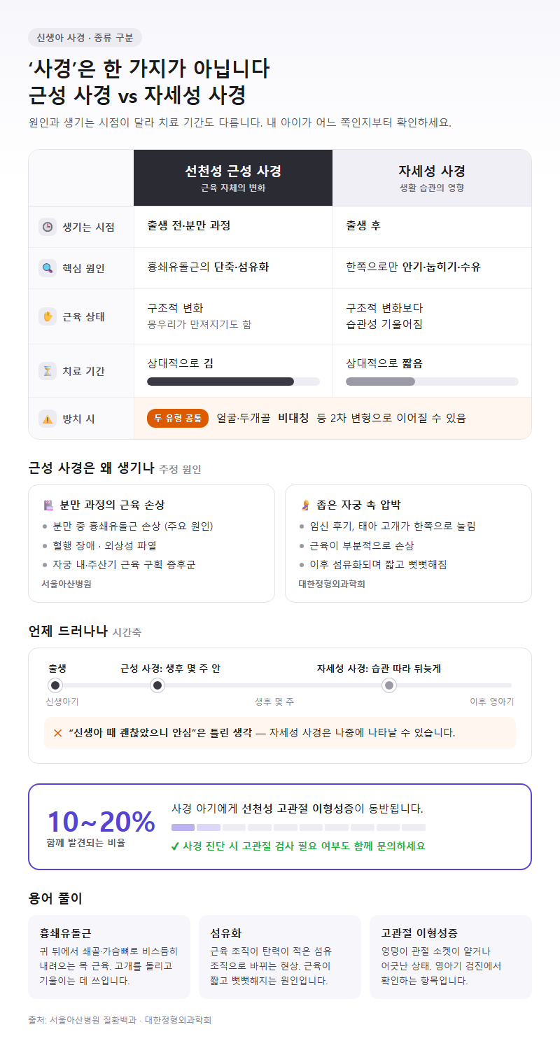 2. 신생아 사경 원인과 종류 — 근성 사경과 자세성 사경