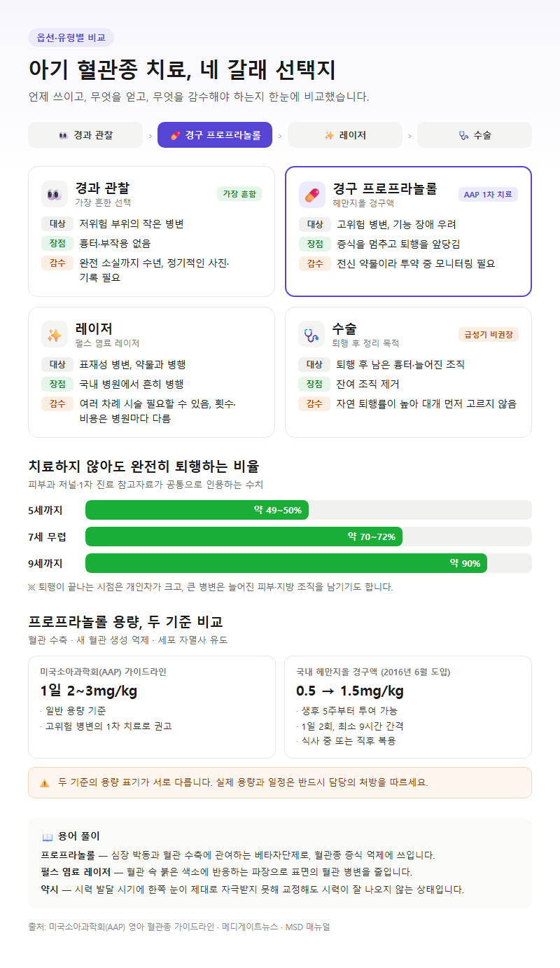 옵션·유형별 비교