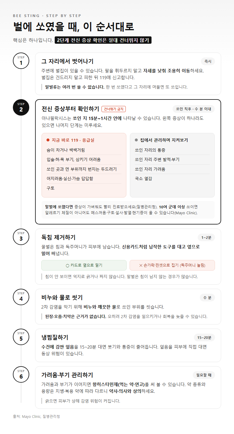 단계별 진행 순서