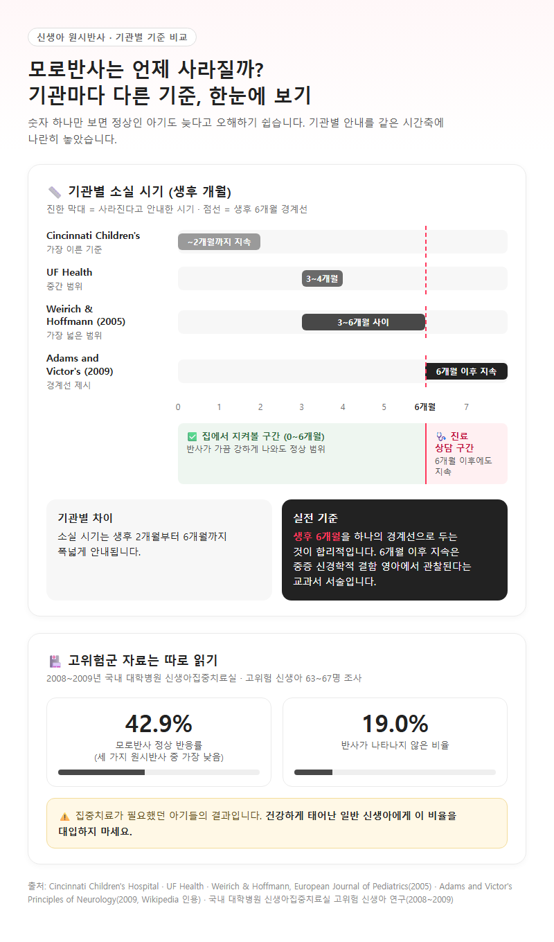 옵션·유형별 비교