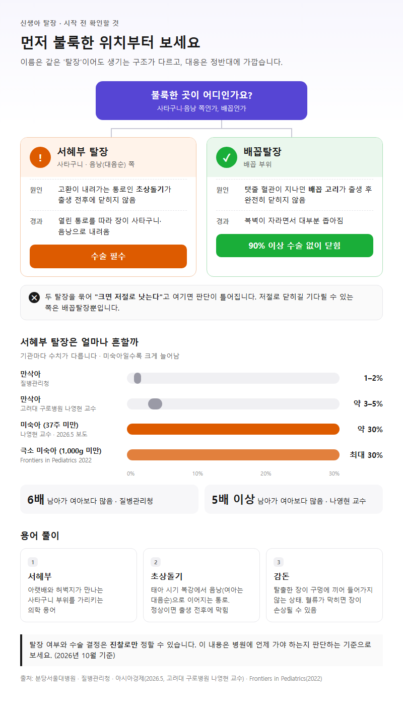신생아탈장 시작 전 확인할 것
