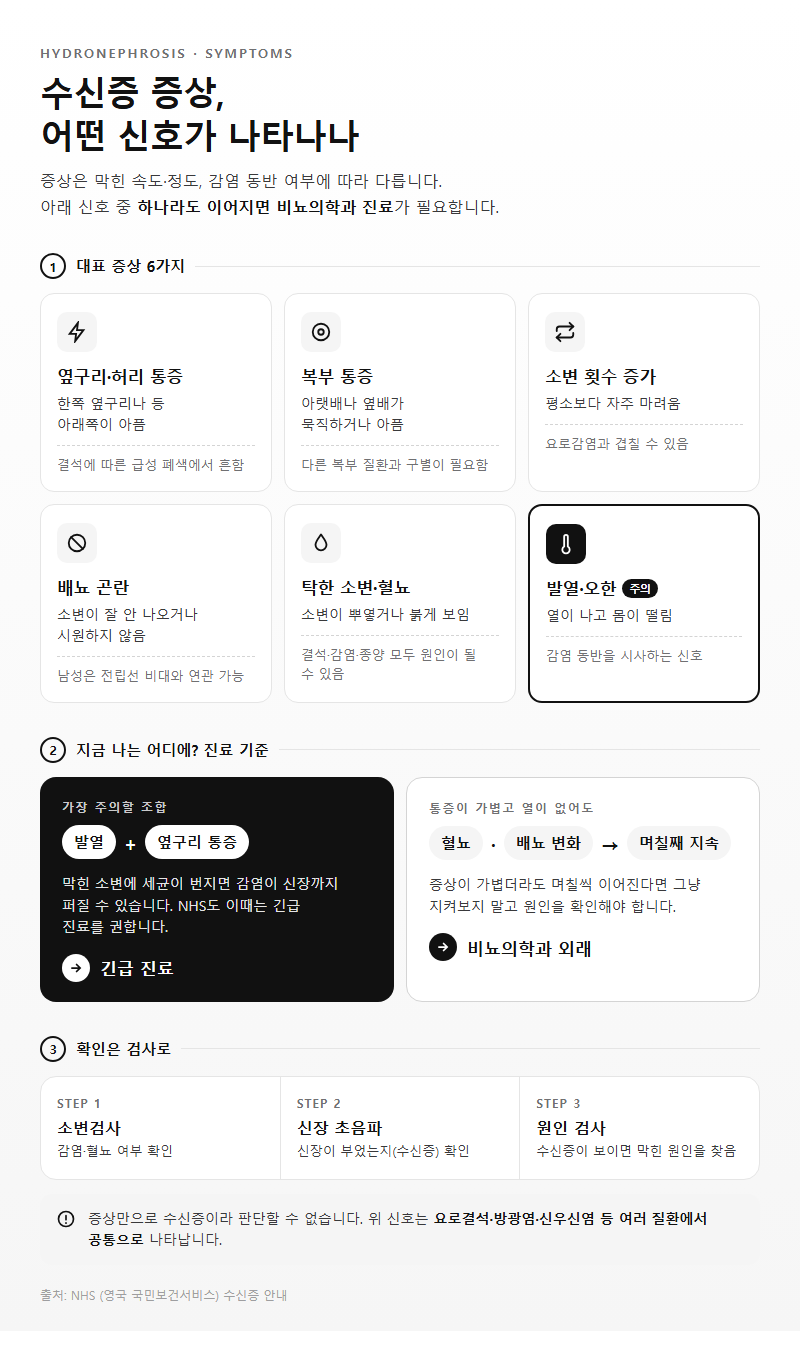 1. 수신증 증상, 어떤 신호가 나타나나